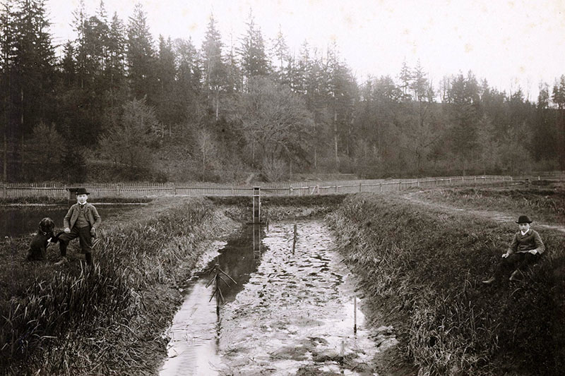 Historická fotka sádek s lidmi